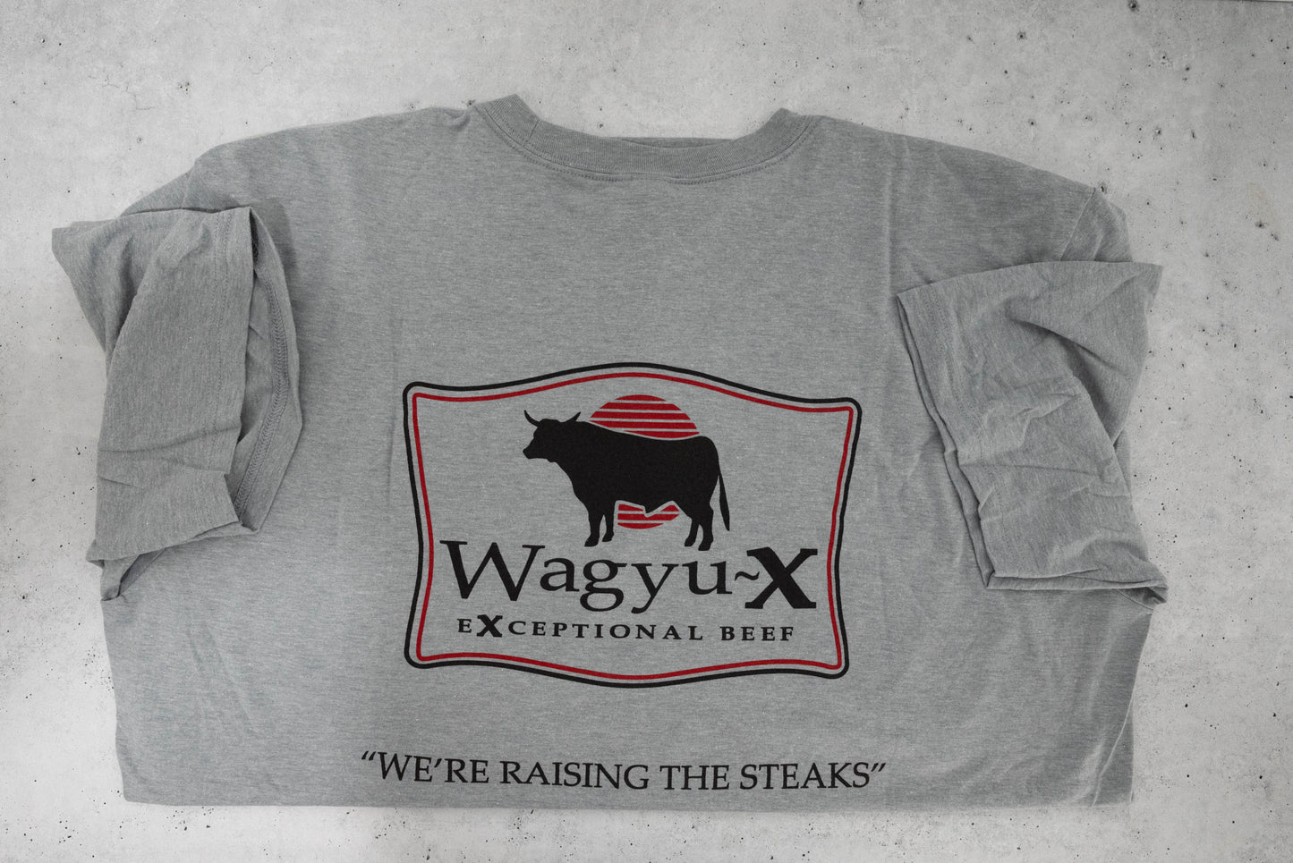 Wagyu-X Short Sleeve Tee — Heather Gray